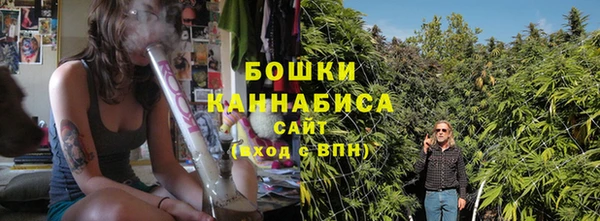 PSILOCYBIN Вязьма