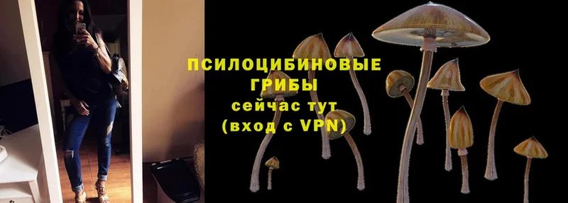 купить наркоту  Белоозёрский  mega как войти  Галлюциногенные грибы GOLDEN TEACHER 